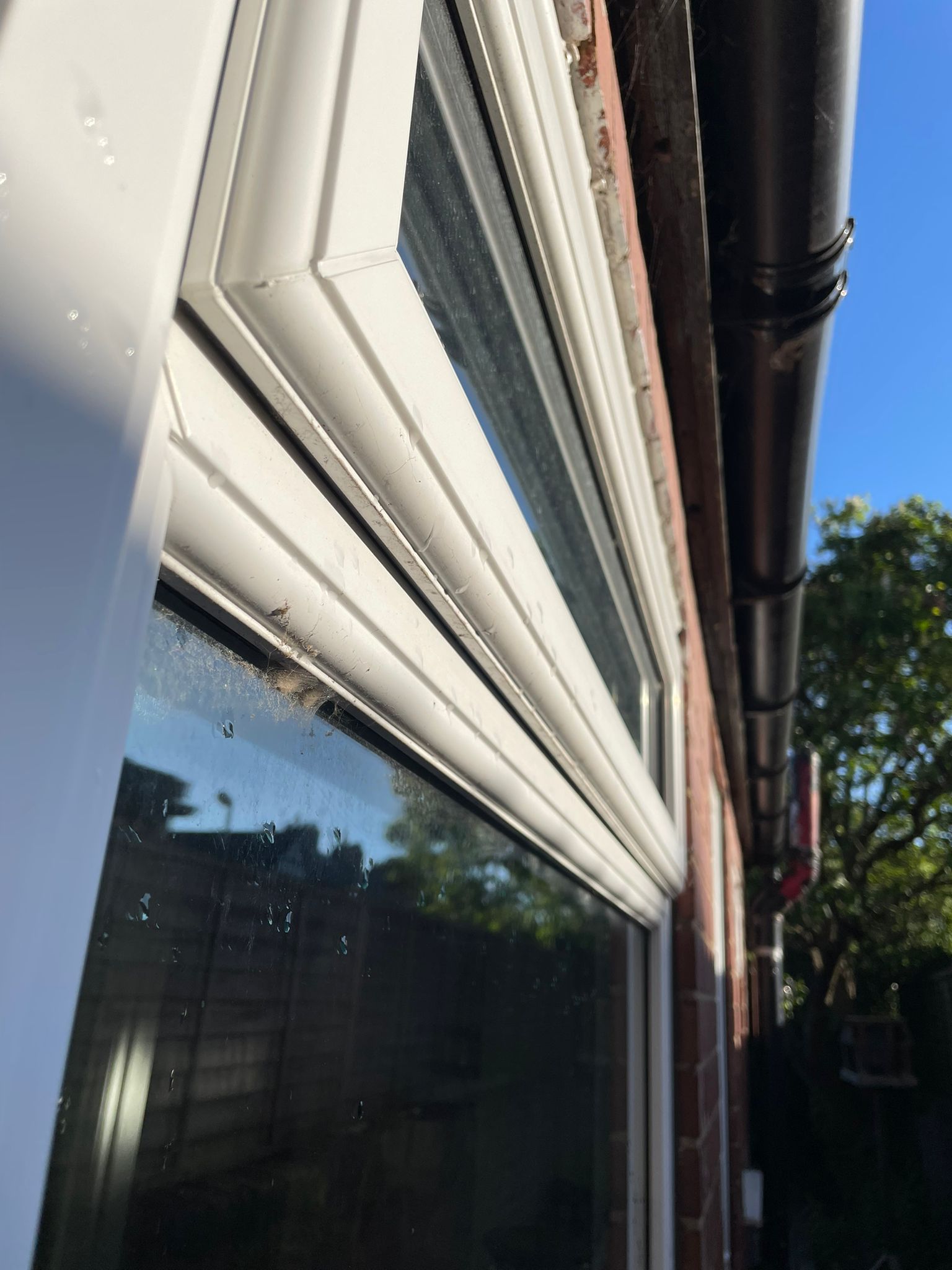 Spotless window result