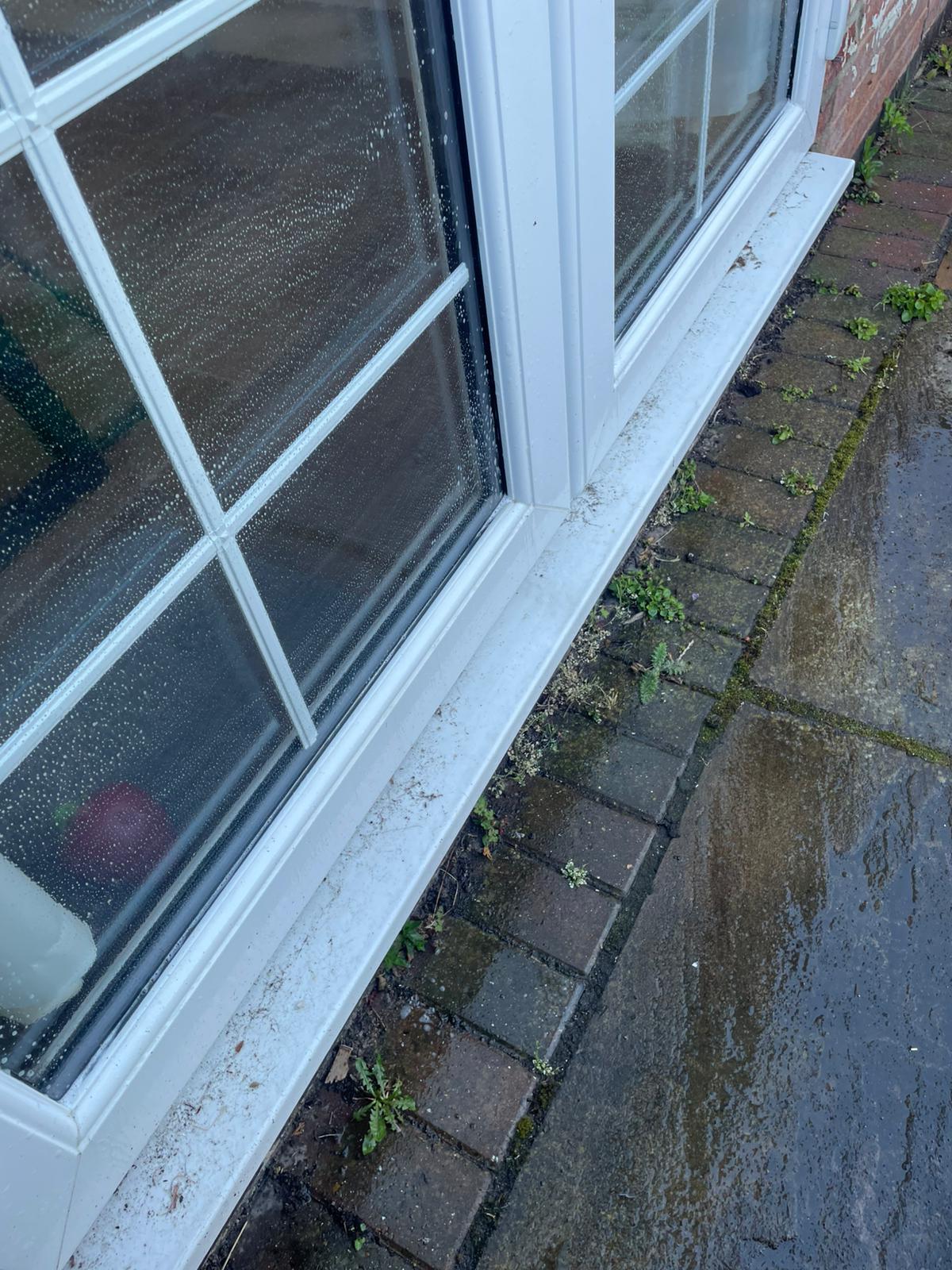 Dirty Georgian windows with weeds — before clean
